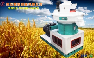 中國(guó)創(chuàng)新提速，綠色經(jīng)濟(jì)之離心高效環(huán)模顆粒機(jī)