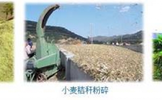 農(nóng)民科學(xué)發(fā)展新思路，秸稈綜合利用成為賺錢(qián)好門(mén)路之秸稈顆粒機(jī)