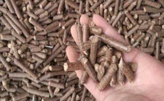 鋸末顆粒機生物質(zhì)燃料與燃煤對比情況如何？