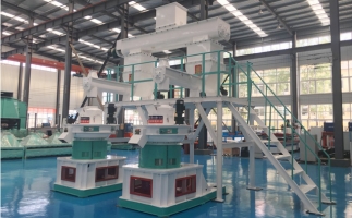 木屑顆粒機(jī)多少錢一臺?建顆粒廠大約多少錢？