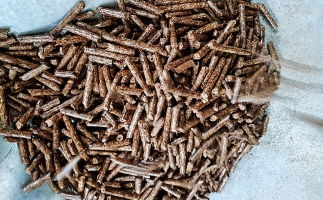 如何選擇鋸末顆粒機(jī)的顆粒燃料？講解！