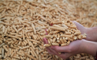 鋸末顆粒機(jī)生物質(zhì)顆粒，你需要知道的常識問題
