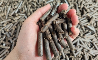 生物質顆粒燃料公司前景怎么樣，木屑顆粒機的顆粒燃料賣給誰的？