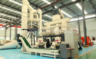 辦木屑顆粒燃料廠需要準備哪些工作？山東顆粒機廠家和您說說