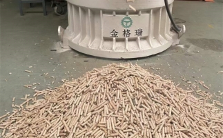 木屑顆粒機(jī)加工環(huán)保燃料顆粒，用綠色昭示未來(lái)