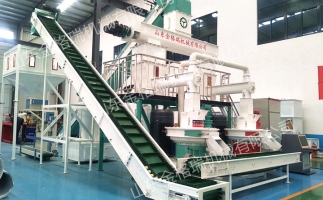 2023年木屑顆粒機(jī)生產(chǎn)生物質(zhì)燃料顆粒行情、利潤(rùn)怎么樣，投資多少大約？